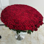 501 красной розы в белой корзине — вид 4